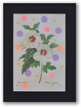 Charger l&#39;image dans la galerie, Hibiscus joyeux