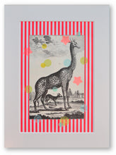 Charger l&#39;image dans la galerie, Girafe haute en couleur