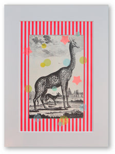 Girafe haute en couleur