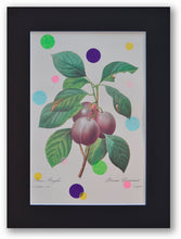 Charger l&#39;image dans la galerie, Prune royale et colorée
