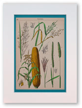 Charger l&#39;image dans la galerie, la botanique en robe bleue à pois blanc