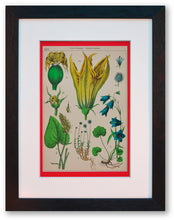 Charger l&#39;image dans la galerie, La botanique en robe rouge à pois blanc