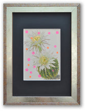 Charger l&#39;image dans la galerie, Cactus en fleur