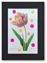 Charger l&#39;image dans la galerie, Tulipe heureuse