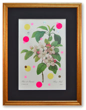 Charger l&#39;image dans la galerie, Fleurs de pommier joyeuses