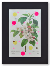 Charger l&#39;image dans la galerie, Fleurs de pommier joyeuses