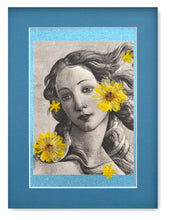 Charger l&#39;image dans la galerie, Vénus en fleurs