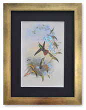 Charger l&#39;image dans la galerie, Les colibris rêveurs