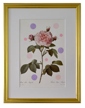 Charger l&#39;image dans la galerie, Tendre rosier blanc